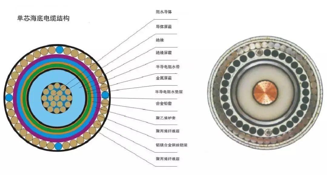 全球海底光缆分布图_海底地形分布规律_海底分界线